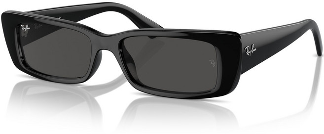 레이밴 Ray-Ban 남녀공용 선글라스 RB4425F