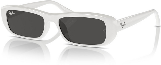 레이밴 Ray-Ban 남녀공용 선글라스 RB4436D