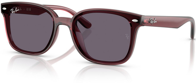 레이밴 Ray-Ban 남녀공용 선글라스 RB4461D