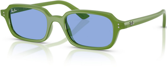 레이밴 남녀공용 선글라스 RB4455F