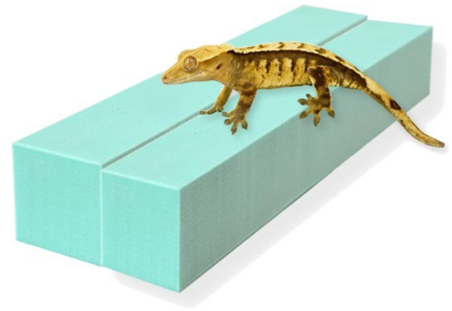 레몽크리프 도마뱀 파충류 크레스티드게코 EVA 고밀도백업 3 x 3 x 20 cm, 민트, 2개