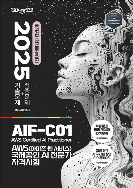 2025 AWS 아마존 웹 서비스 국제공인 AI 전문가 자격시험, 책바세