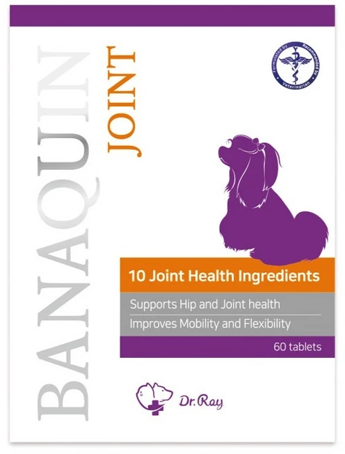 DrRay 반려동물 바나퀸 조인트 영양제, 60정, 뼈/관절강화, 1개 - 쿠팡