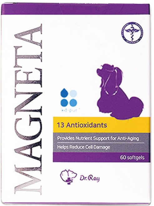DrRay 반려동물 마그네타 영양제, 60정, 심장/간, 1개