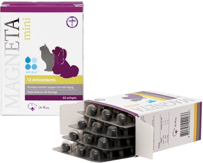 DrRay 반려동물 마그네타 mini 영양제, 60정, 면역/항산화, 1개 - 쿠팡