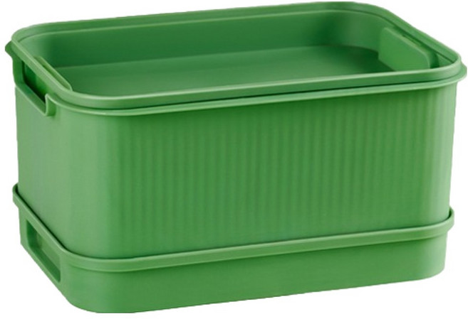 타이탄 콩나물 재배기 키트, 1개