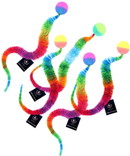 딩동펫 고양이 무지개 탱탱볼 지렁이 장난감 5종 세트, 랜덤발송(탱탱볼), 1세트