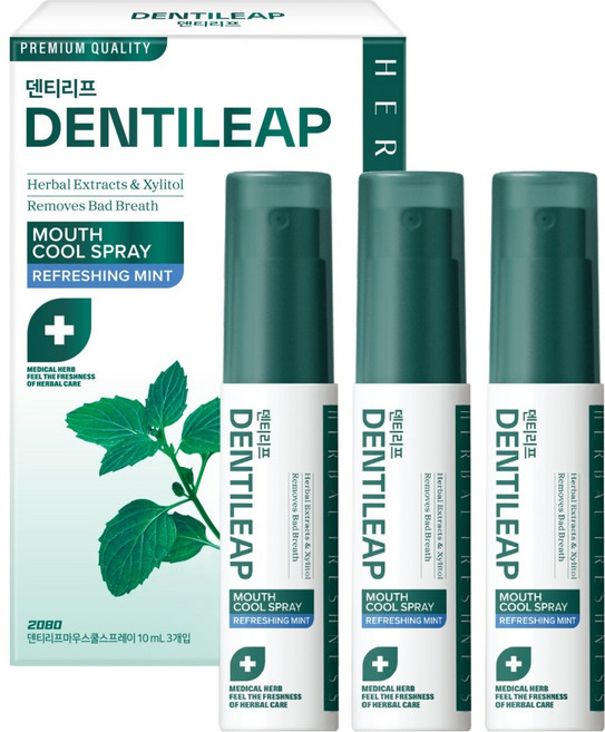 2080 덴티리프 마우스 쿨 구강스프레이 3p, 30ml, 1개