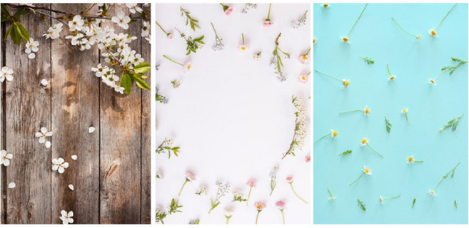 양면 꽃 촬영 배경지 3종 세트, 1세트