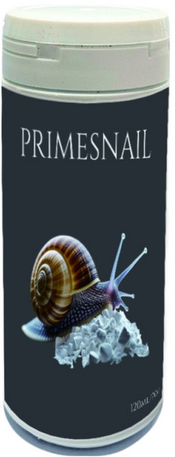 쥬맥스 달팽이 탄산칼슘, 70g, 1개