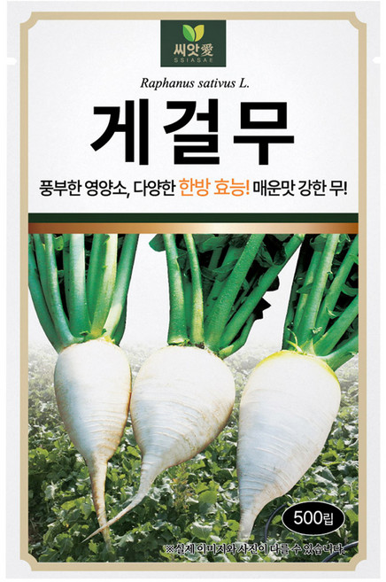 다농 씨앗애 게걸무 씨앗 500p, 1개