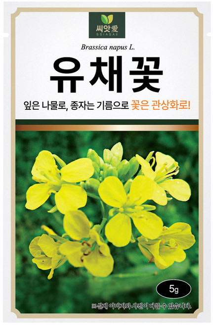 다농 씨앗애 유채꽃 씨앗 5g, 1개