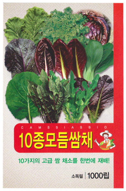 10종 모듬 쌈채소 씨앗, 1개