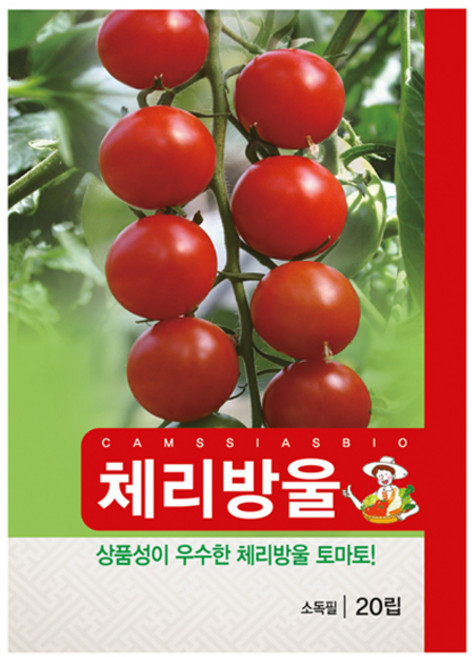 체리 방울 토마토 씨앗, 1개