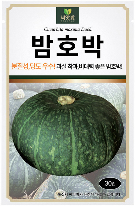 다농 씨앗애 밤호박 씨앗 30p, 1개