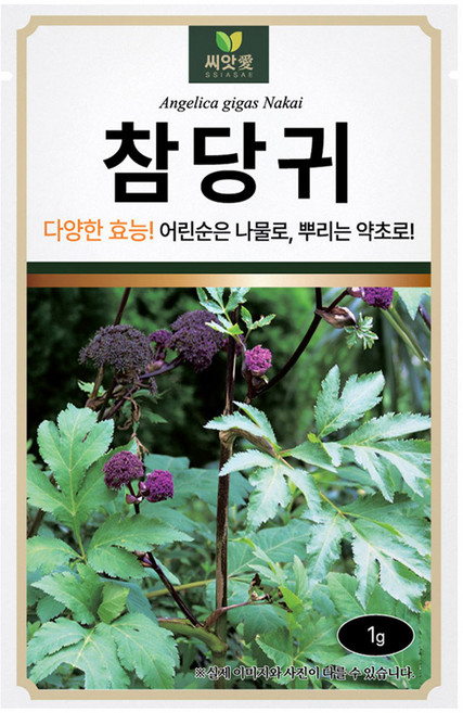 다농 씨앗애 참당귀 씨앗 1g, 1개