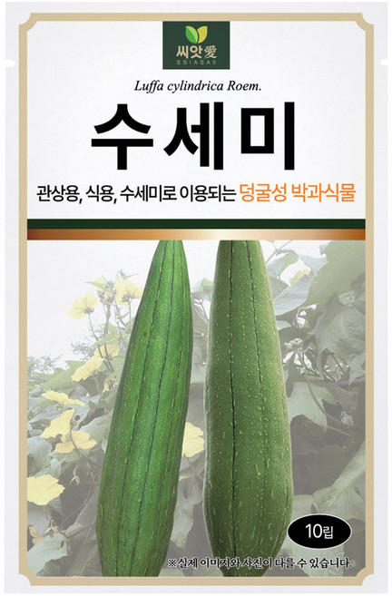 다농 씨앗애 수세미 씨앗 10립, 1개