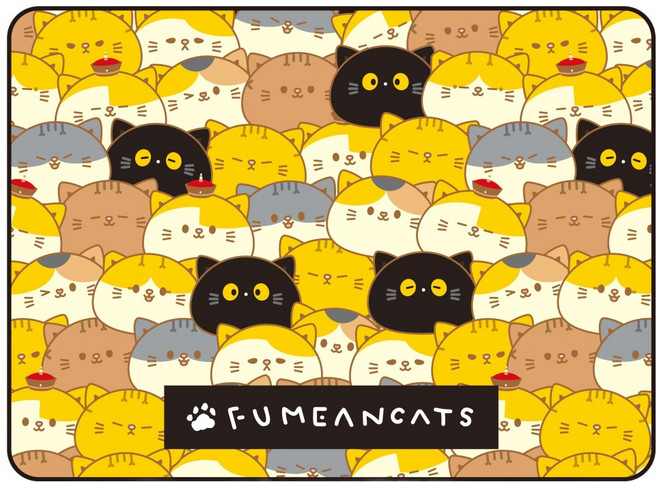 Fumeancats 黃阿瑪的後宮生活 空調毯