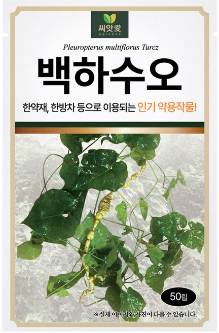 다농 씨앗애 백하수오 씨앗 50립, 1개