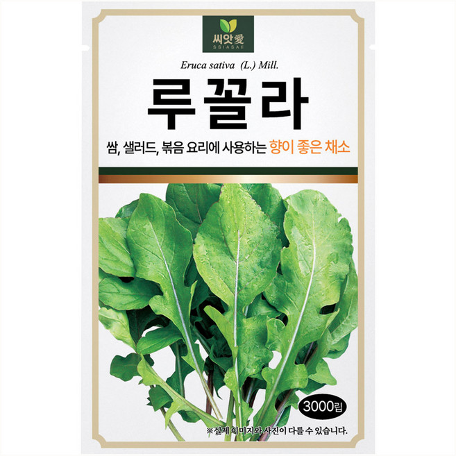 다농 씨앗애 루꼴라 씨앗 3000p, 1개