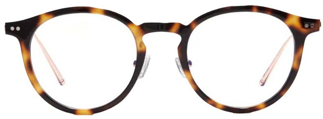 CARIN 波士頓圓框 膠框光學眼鏡 ROY_R_C3