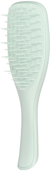 탱글티저 웻 디탱글러 엑스트라 젠틀, 1개, 유칼립투스 그린