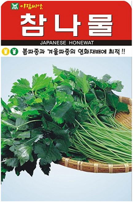 아람종묘 참나물 씨앗 1000립, 1개