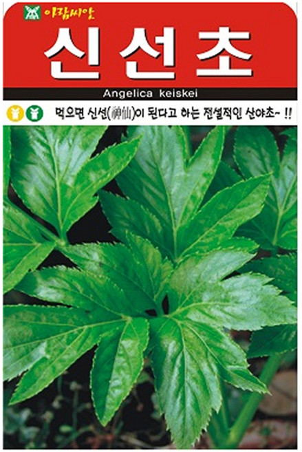 아람종묘 신선초 씨앗 100립, 1개