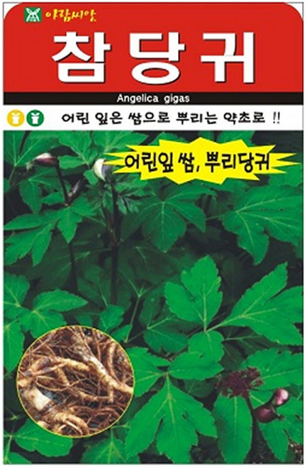 아람종묘 참당귀200립 씨앗, 1개