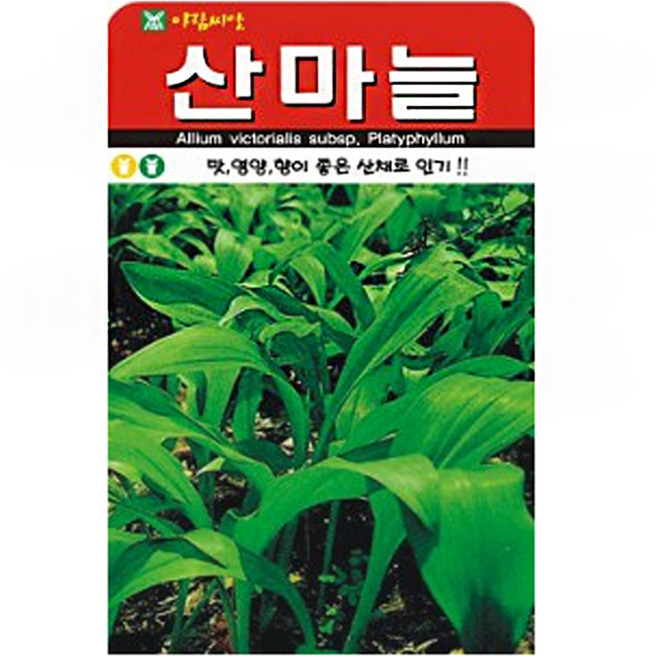 아람종묘 산마늘 씨앗 50립, 1개