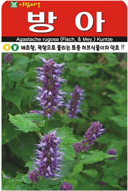 아람종묘 방아 씨앗 1000립, 1개