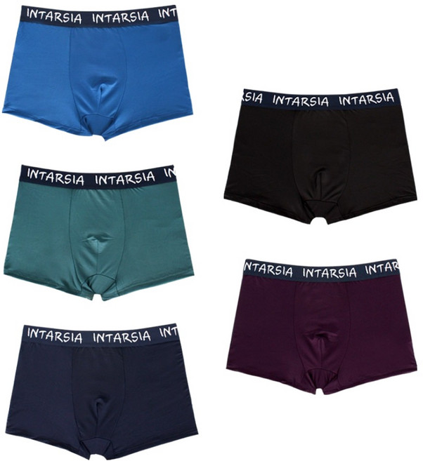 인따르시아 주니어용 학생 드로즈 팬티 5종 세트 INJ-5810