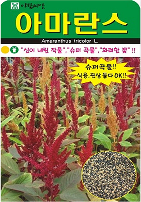아람종묘 아마란스 꽃 씨앗 4000립, 1개