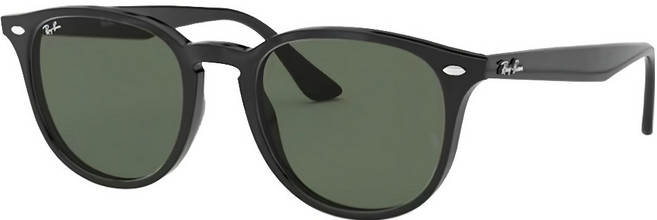 Ray-Ban 雷朋 膠框太陽眼鏡 RB4259F-601/71