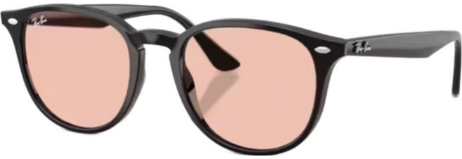 Ray-Ban 雷朋 膠框太陽眼鏡 RB4259F-601/5