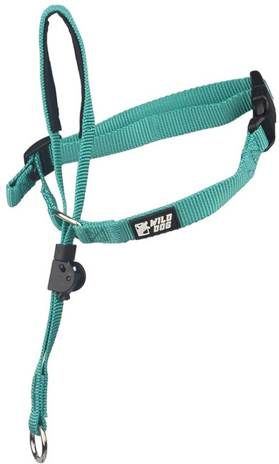 와일드독 강아지 앞섬방지 훈련용 젠틀리더 목줄, 블루그린, 1개