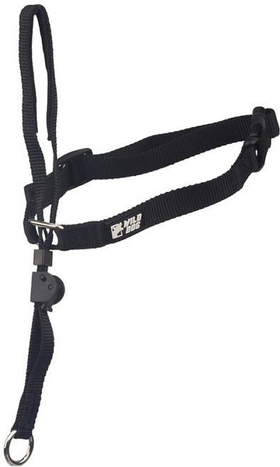 와일드독 강아지 앞섬방지 훈련용 젠틀리더 목줄, 블랙, 1개