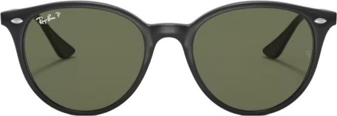 Ray-Ban 雷朋 膠框太陽眼鏡 偏光鏡片 RB4305F-601/9A