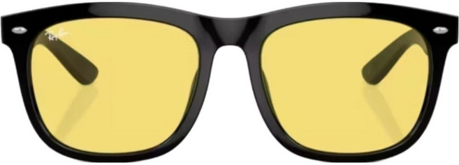 Ray-Ban 雷朋 膠框太陽眼鏡 RB4260D-601/85