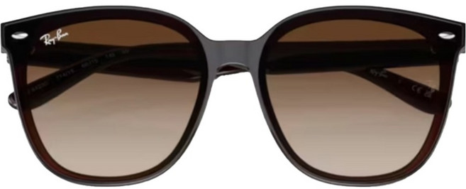 Ray-Ban 雷朋 膠框太陽眼鏡 漸層鏡片 RB4423D-714/13