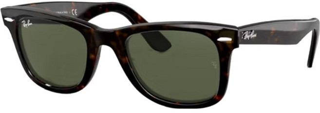 Ray-Ban 雷朋 膠框太陽眼鏡 RB2140F-90252