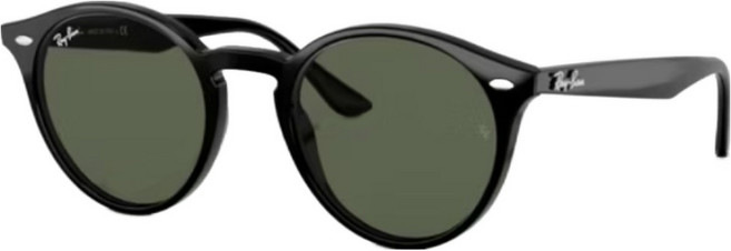 Ray-Ban 雷朋 膠框太陽眼鏡 RB2180F-601/71