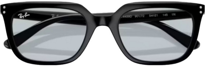 Ray-Ban 雷朋 膠框太陽眼鏡 RB4439D-901/72