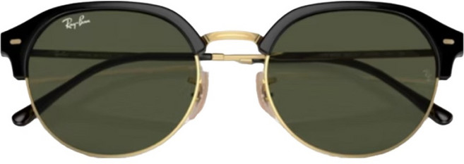 Ray-Ban 雷朋 膠框太陽眼鏡 RB4429-601/31