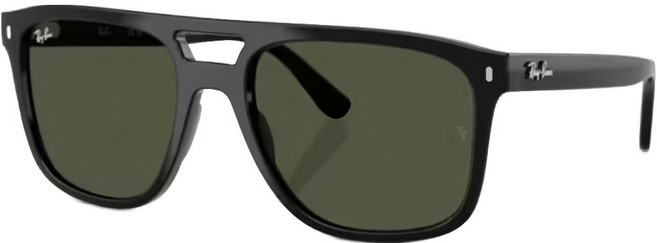 Ray-Ban 雷朋 膠框太陽眼鏡 RB2213-901/31