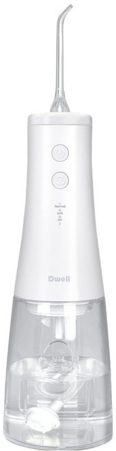 디웰 아쿠아젯 구강세정기, CWP-1102