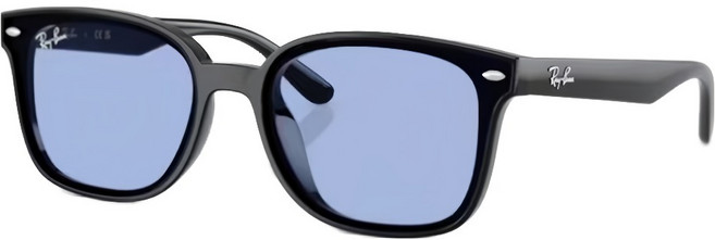 Ray-Ban 雷朋 膠框太陽眼鏡 RB4461D-601/80