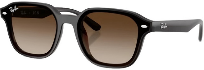 Ray-Ban 雷朋 膠框太陽眼鏡 漸層鏡片 RB4458D-714/13