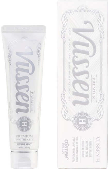 뷰센 뉴 에이치 치약 시트러스민트향, 120g, 1개