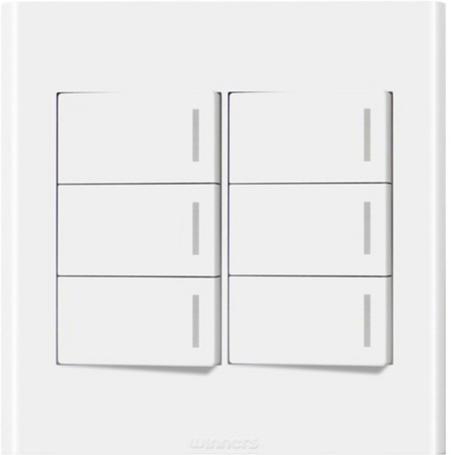 위너스 위너 스위치 2개용 6구, 1개